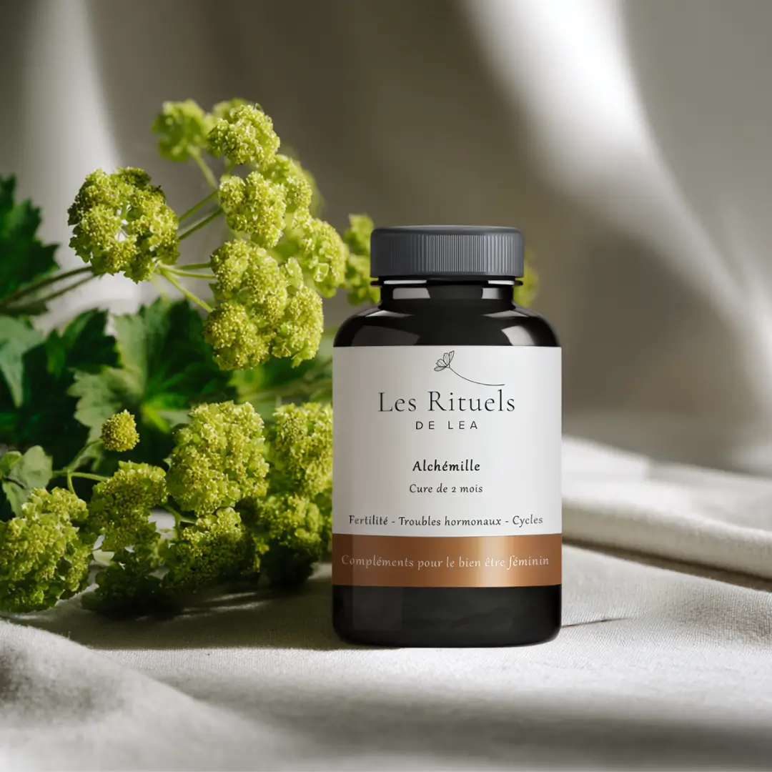 Complément alimentaire d'alchémille pour les femmes.