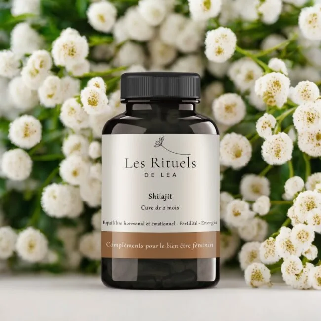 Shilajit – Image 2
