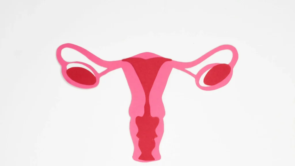 Complément alimentaires ménopause